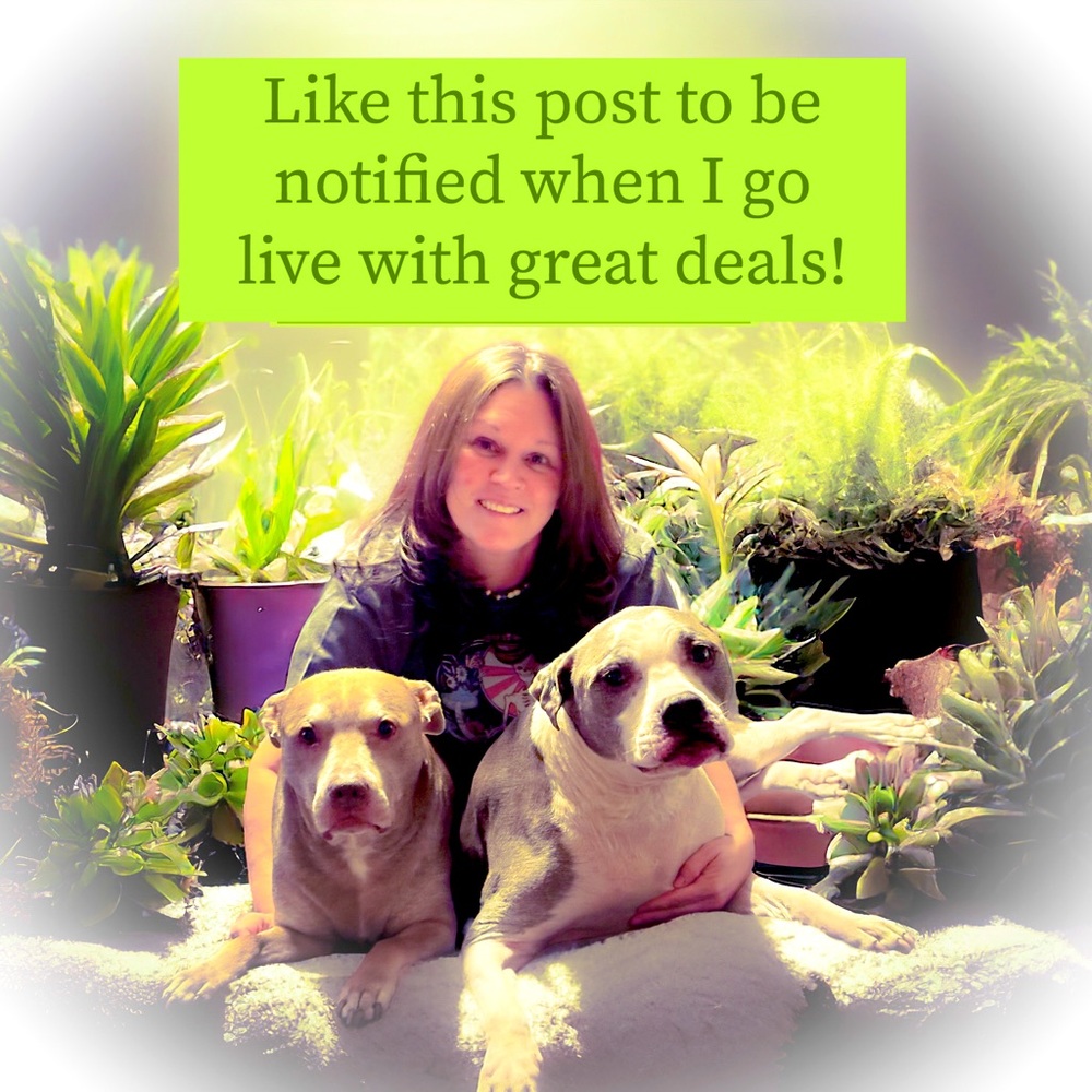 Like this post to be notified when I start a Poshmark Live Show!